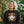 Load image into Gallery viewer, No Diggity, Bout To Bag It Up Adult Halloween Sweatshirt
